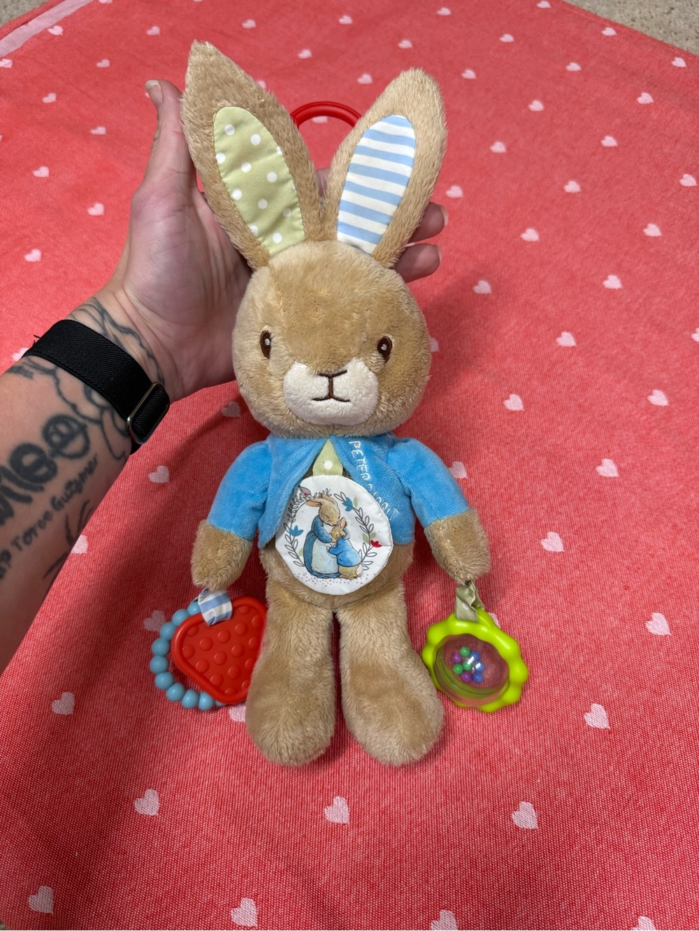 Kids Preferred Beatrix Potter Peter Rabbit